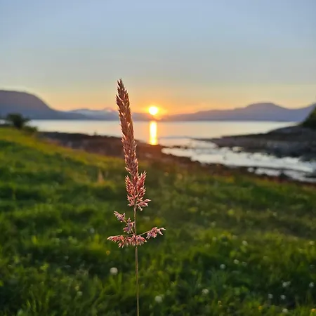 Quiet Valley Tomrefjord 아파트